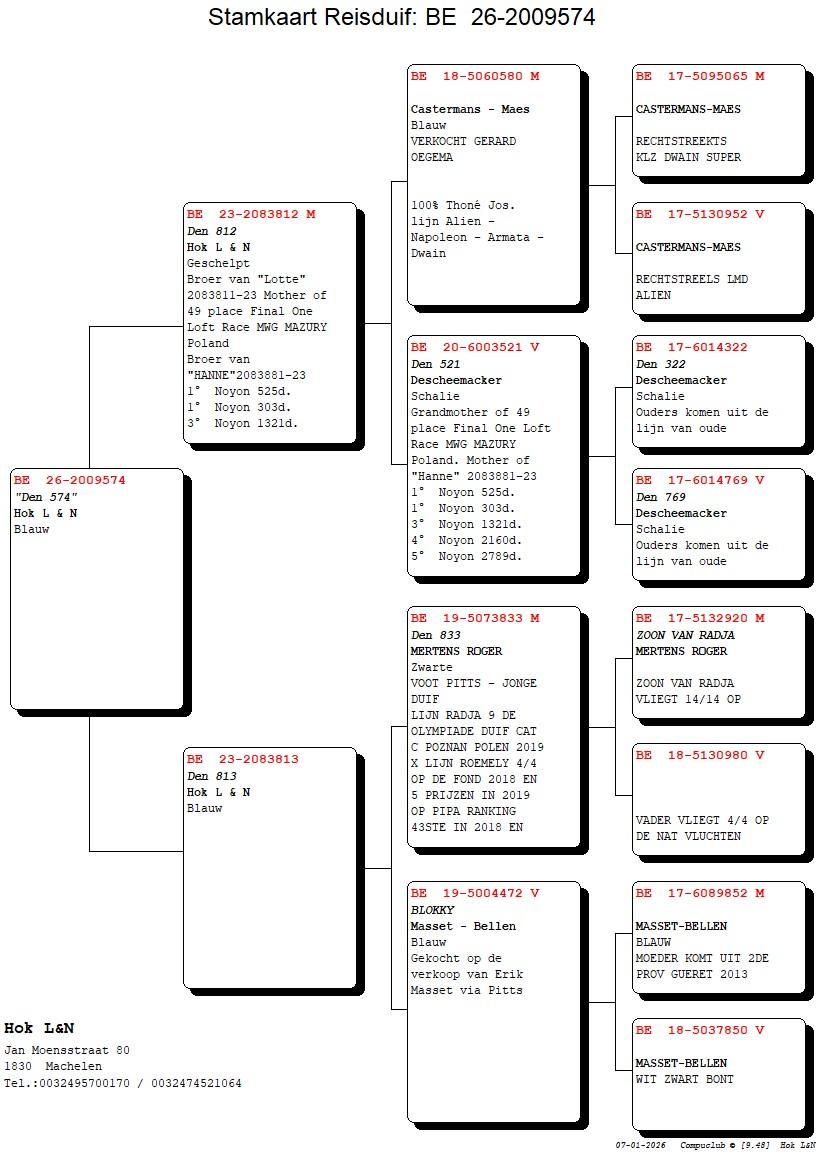 pedigree "Den 574" - UIT VERKOOP