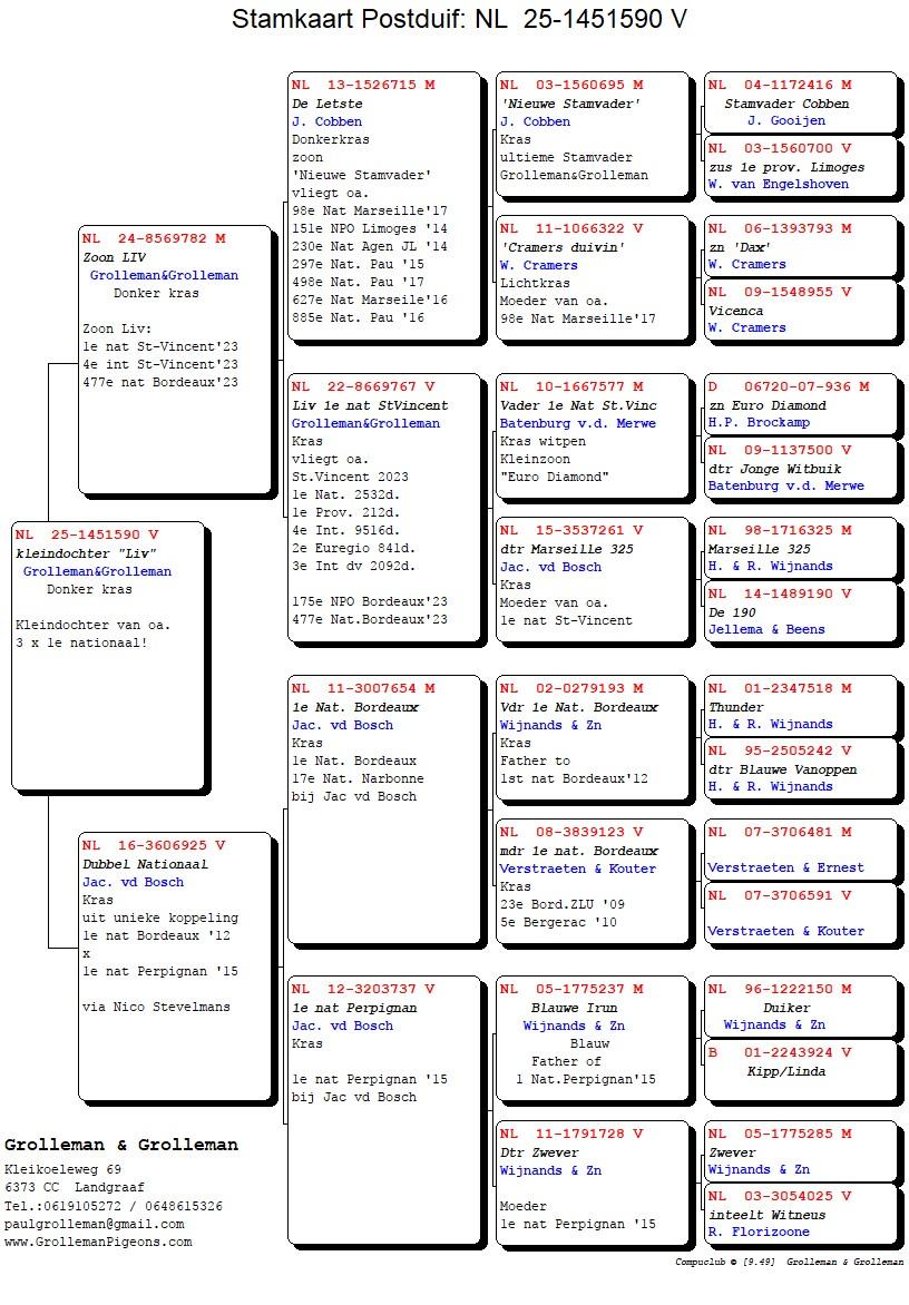 pedigree Kleindochter Liv 