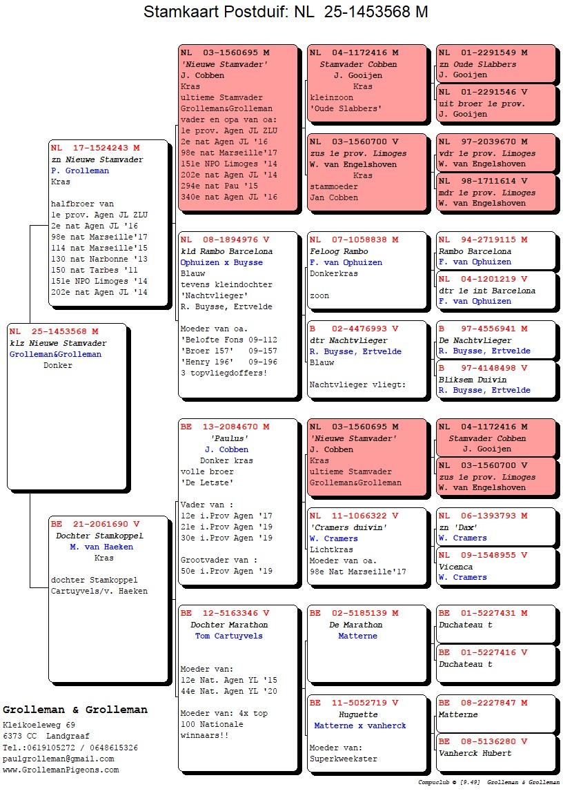 pedigree Zoon Nieuwe Stamvader x Dochter Stamkoppel 