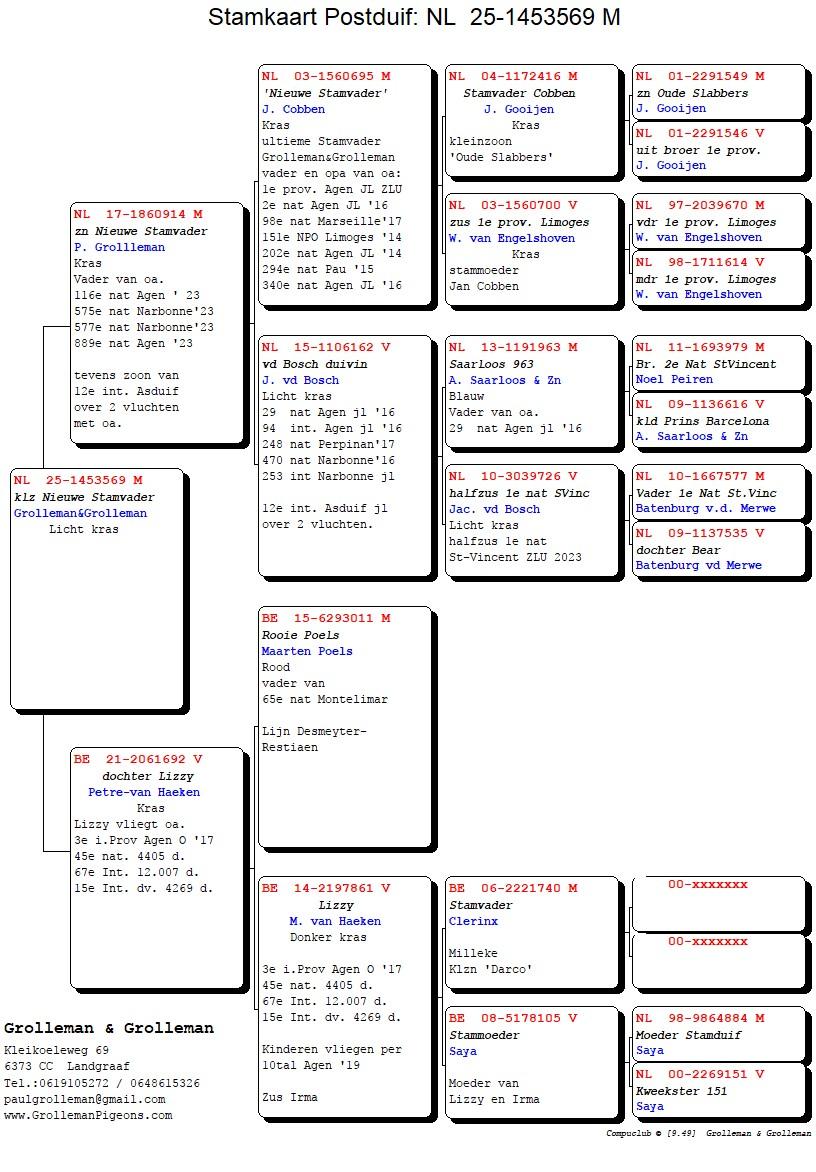 pedigree Zoon Nieuwe Stamvader x Dochter Lizzy 
