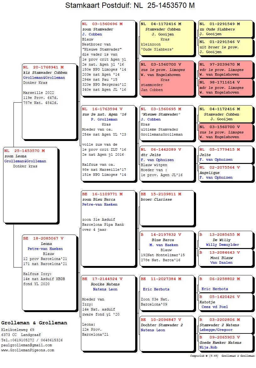 pedigree Kleinzoon stamvader Cobben x Leona 