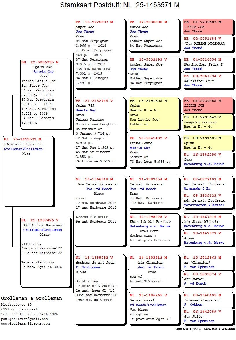 pedigree Kleinzoon Super Joe 
