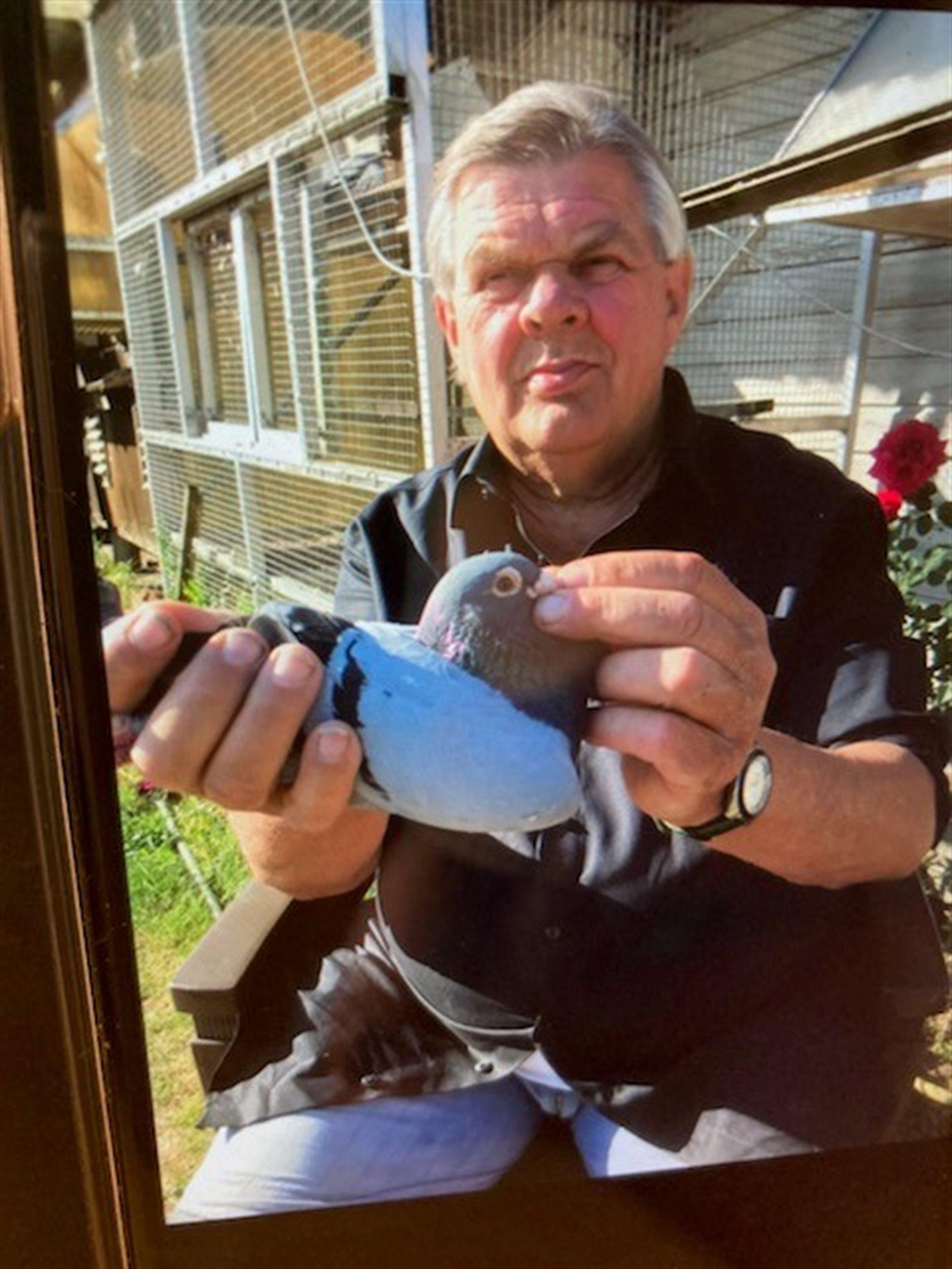 Ally Paul	 ,  Aalter    -  Op afspraak 