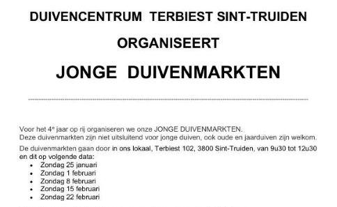 Eendracht ST-TRUIDEN 4e keer onze JONGE DUIVENMARKTEN !!!