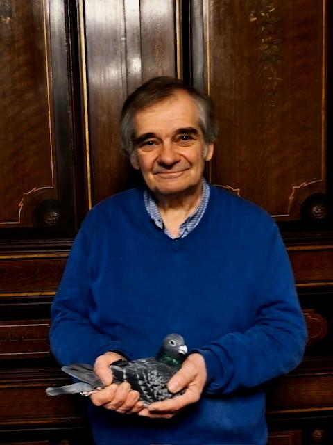 GUNST PATRICK Roesbrugge - Duif voor kweek