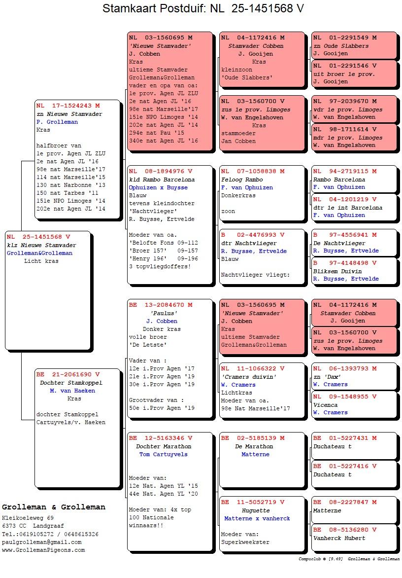 pedigree Zoon Nieuwe Stamvader x Dochter Stamkoppel