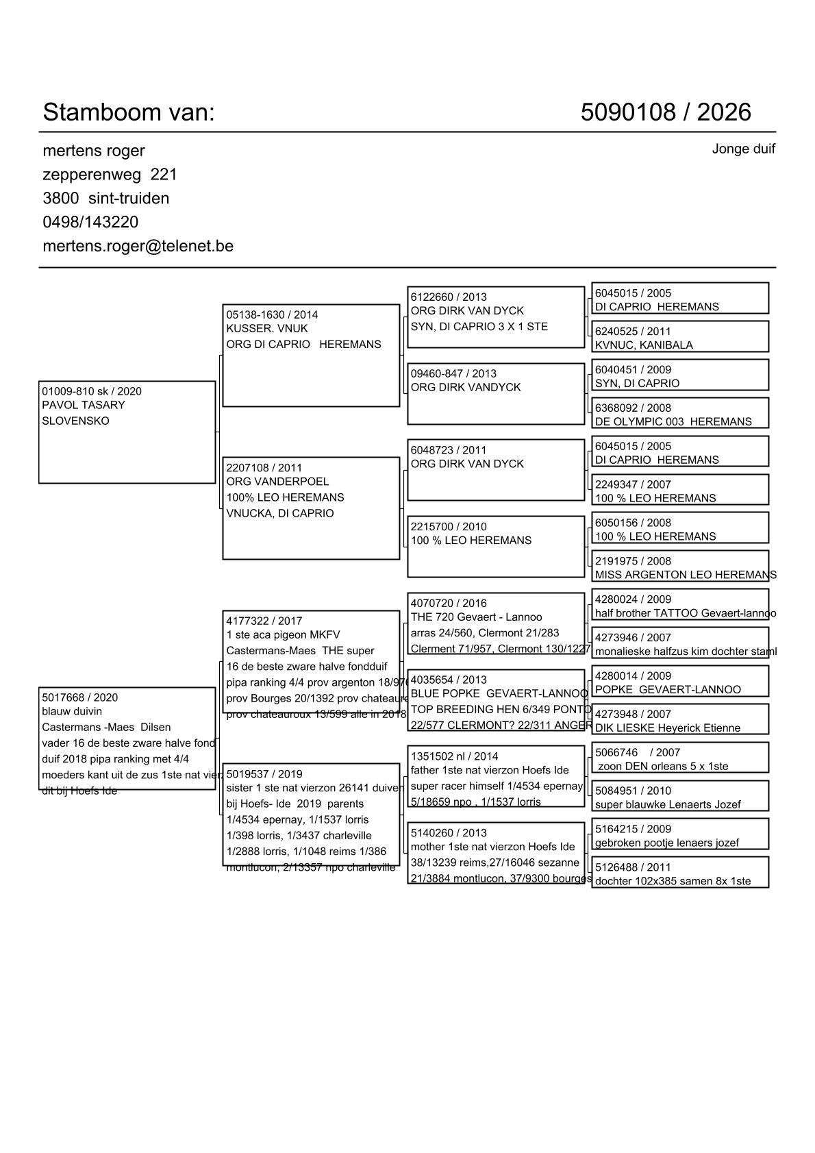 pedigree Lijn Leo Heremans x Dochter zus 1° Nat Vierzon