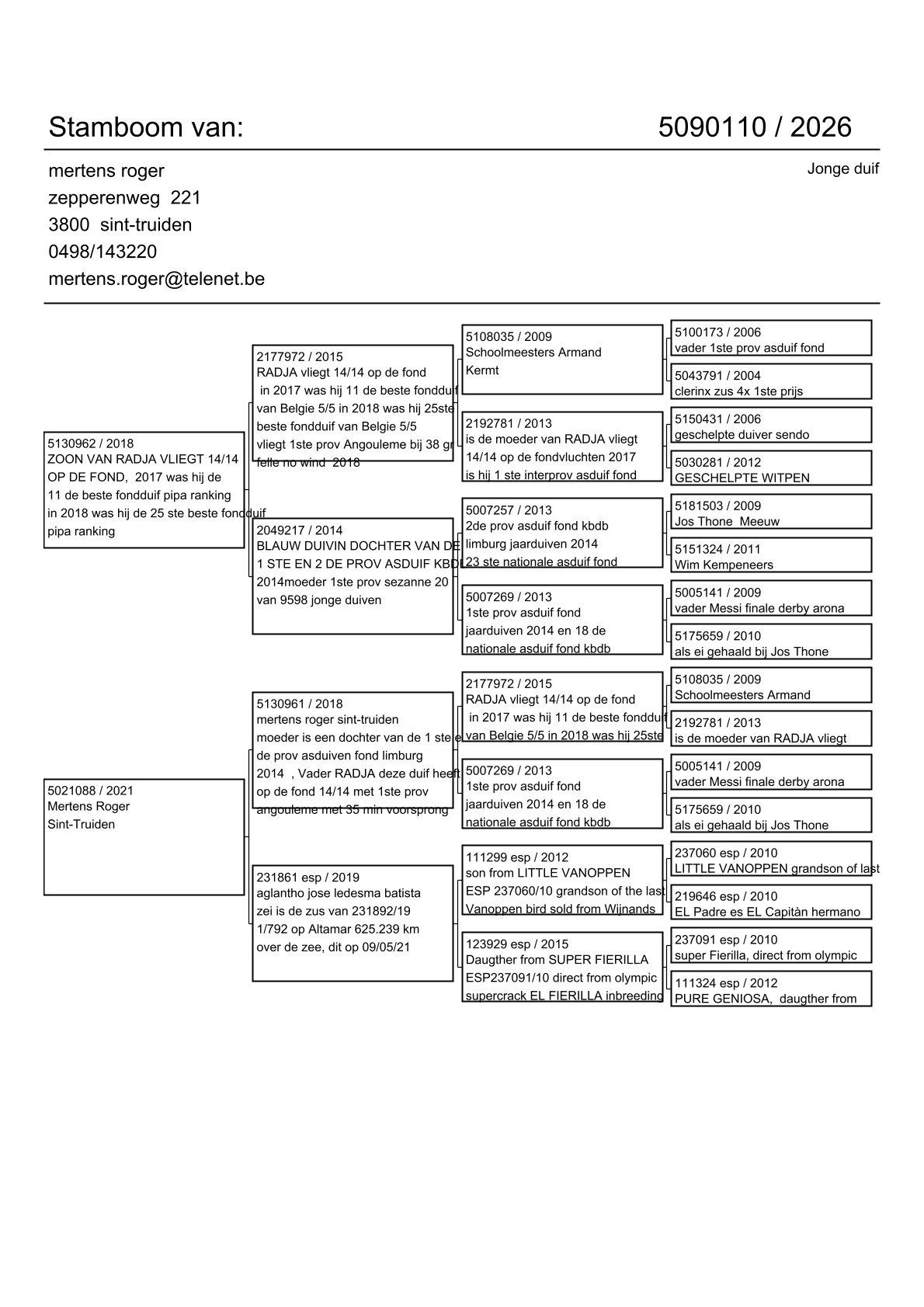 pedigree Zoon Radja x Kleindochter Radja 