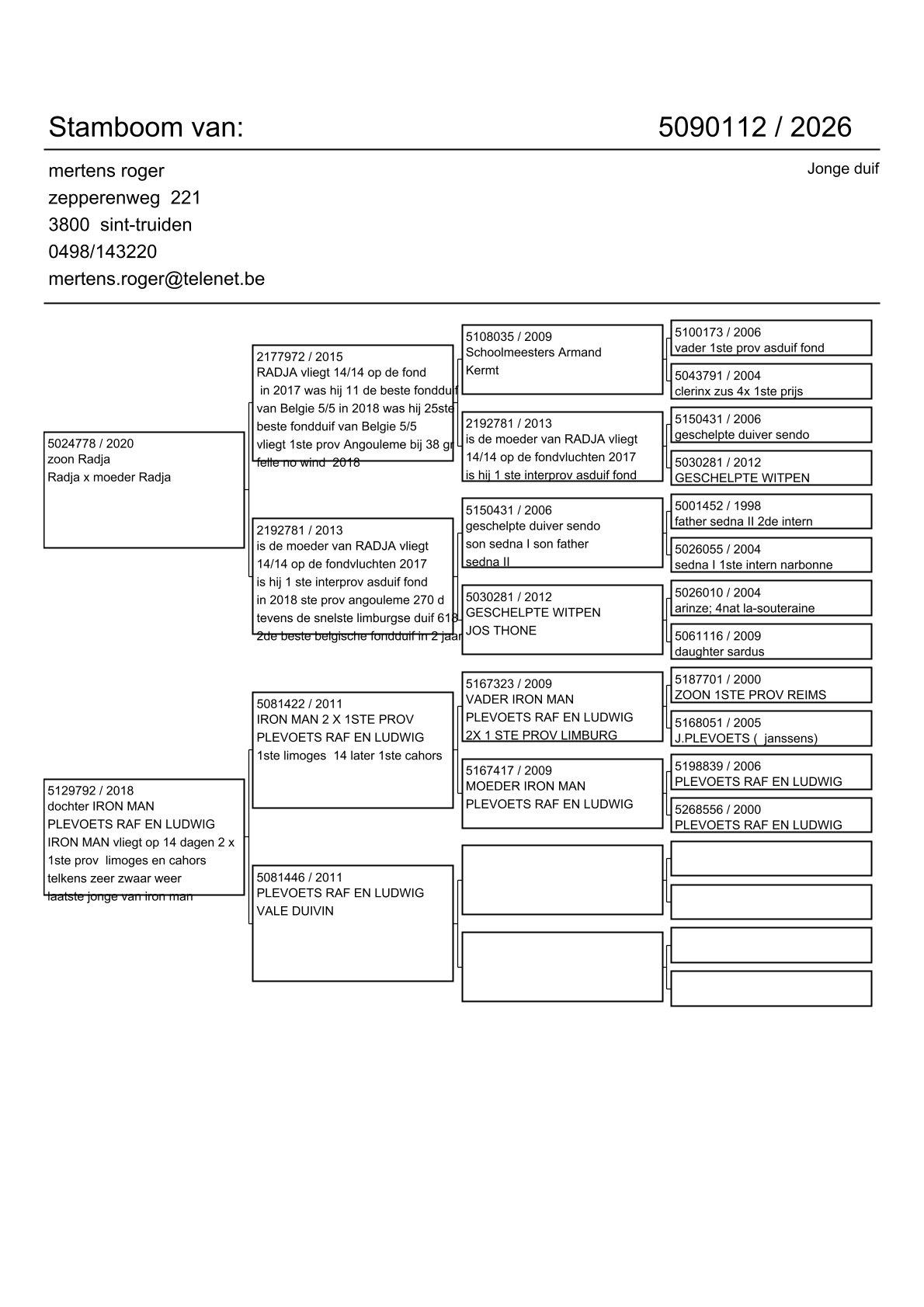 pedigree Zoon Radja x Dochter Iron Man