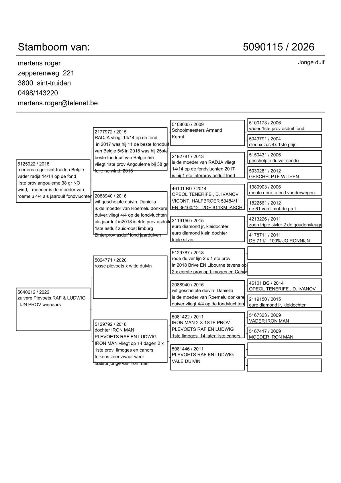 pedigree Zoon Radja x Kleindochter Iron Man