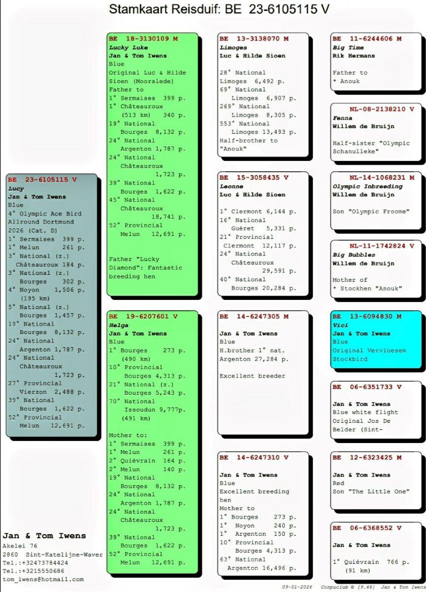 PITTS-Iwens J&T-PITTS-BE23-6105115 'Lucy' -Pedigree