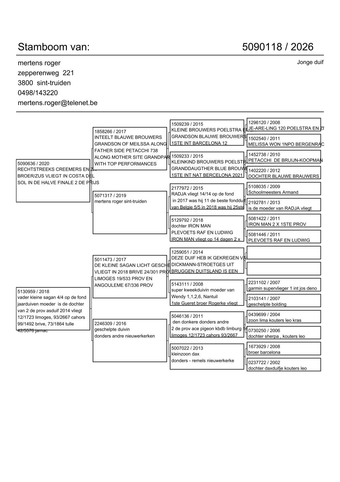 pedigree Lijn 1° Inat Barcelona x Dochter De Kleine Sagan
