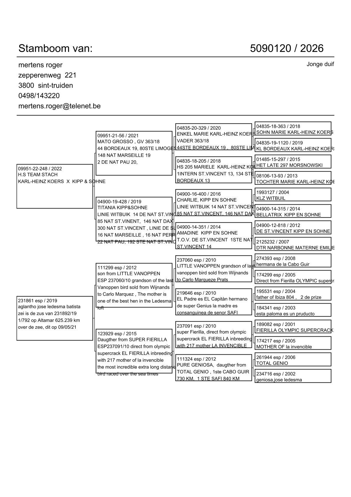 pedigree Lijn 1° Inat St Vincent x Kleindochter Super Fierilla