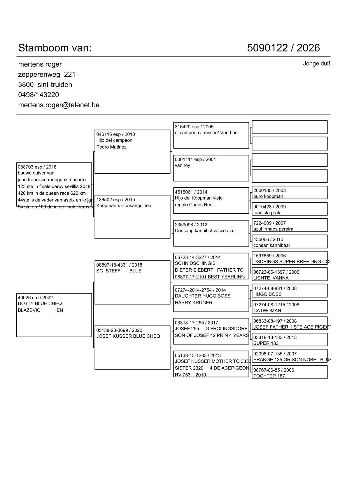 pedigree Lijn Koopman x Dotty Blue 