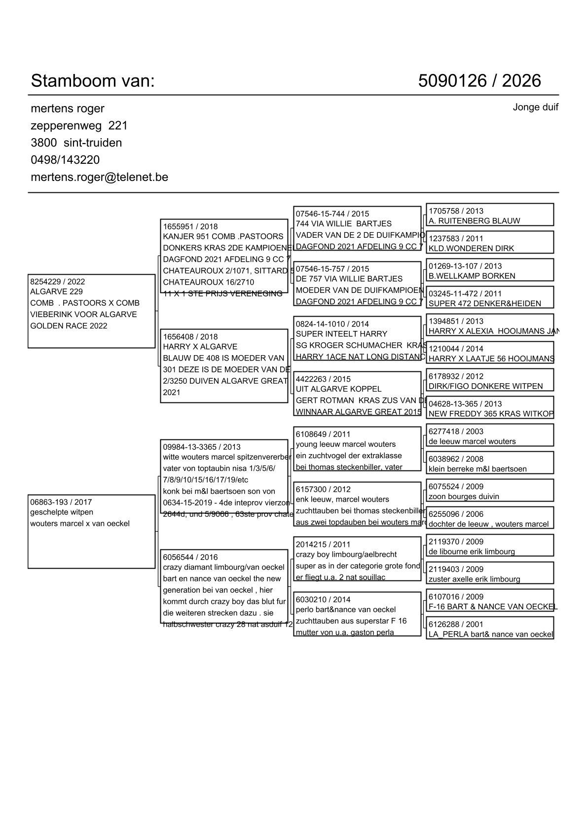 pedigree Algarve 229 x Lijn F-16