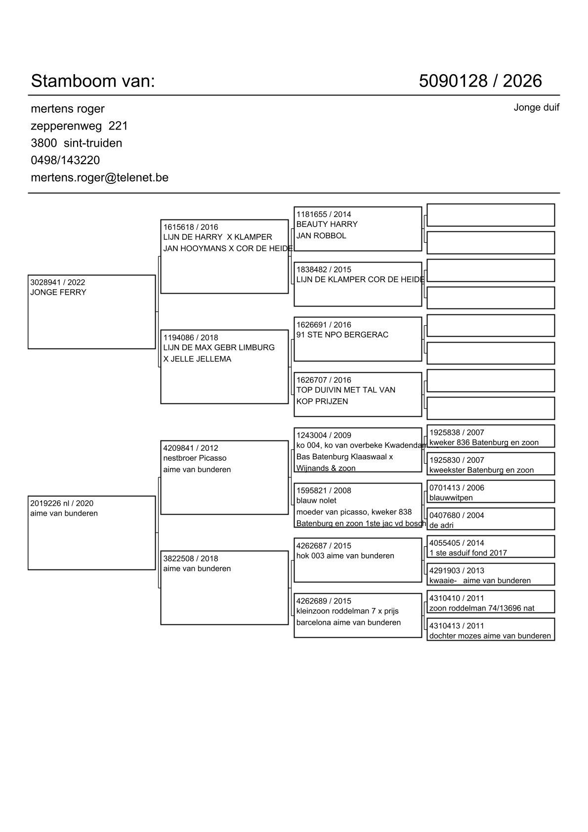 pedigree Lijn Harry x Lijn 1° As Fond