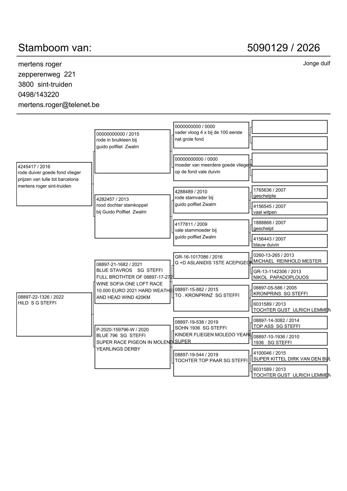 pedigree Lijn Guido Polfliet x Dochter volle broer winnaar Sofia OLR