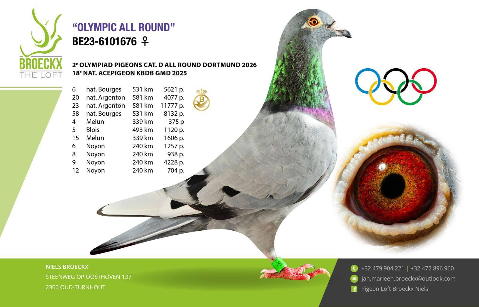 PITTS-Broeckx Niels-PITTS-BE23-6101676 'Olympic All Round' -Foto-1