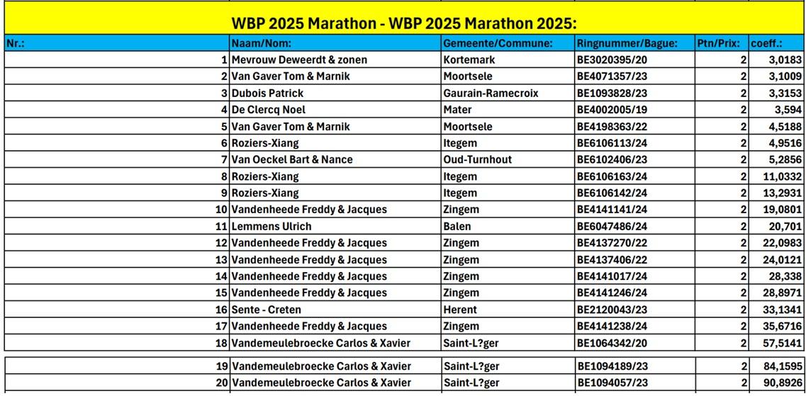 World Best Pigeon 2025 Marathon