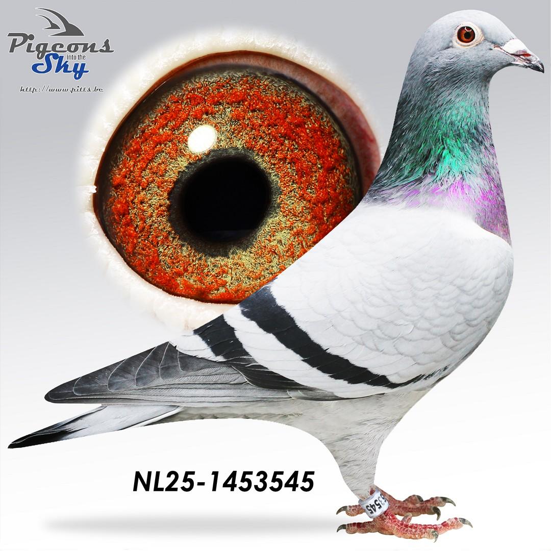 Kleinzoon 1° Nat Bordeaux 