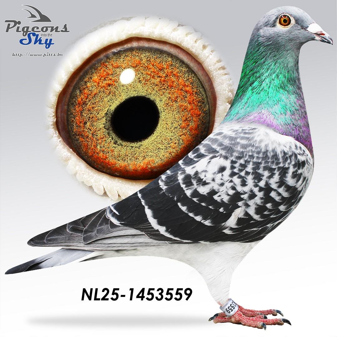 Zoon Stoomboot x Dochter Super Kuif 