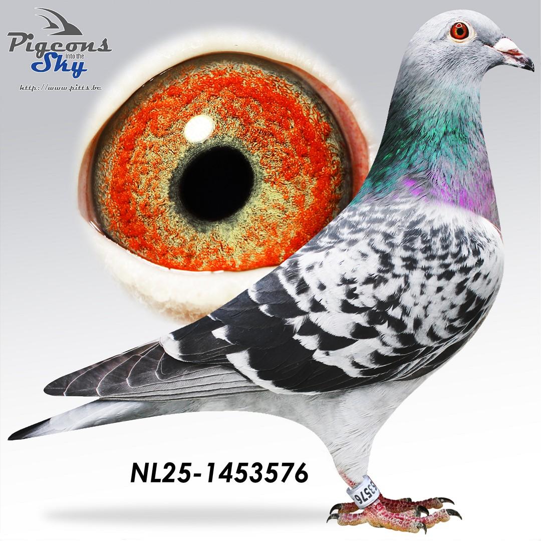 Kleinzoon Guru Thone 