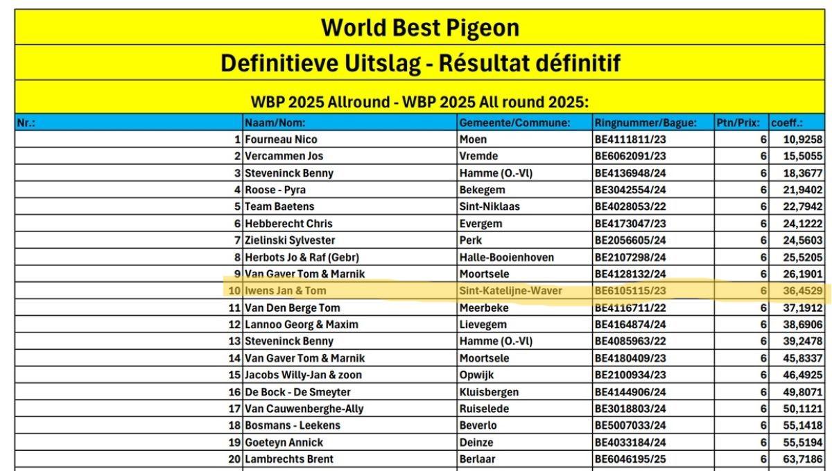 World Best Pigeon 2025 Allround