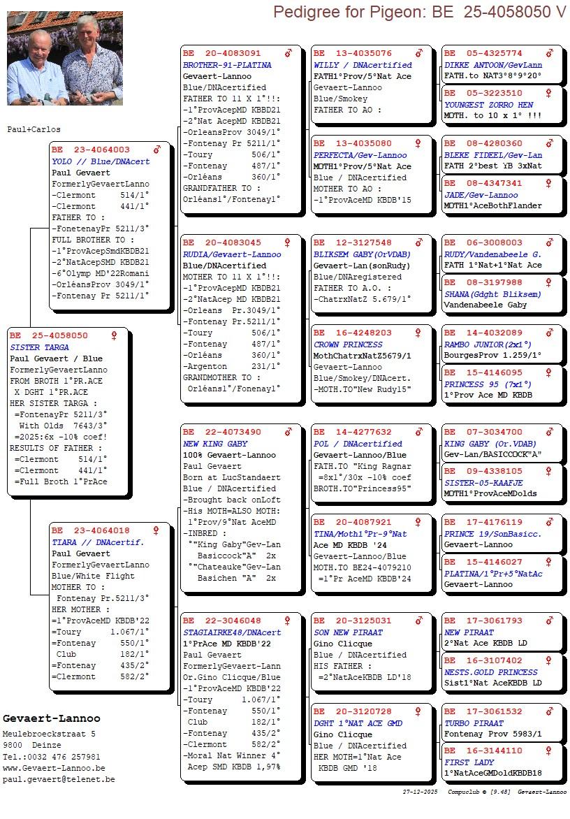 pedigree Gevaert Paul - Duivin 2025