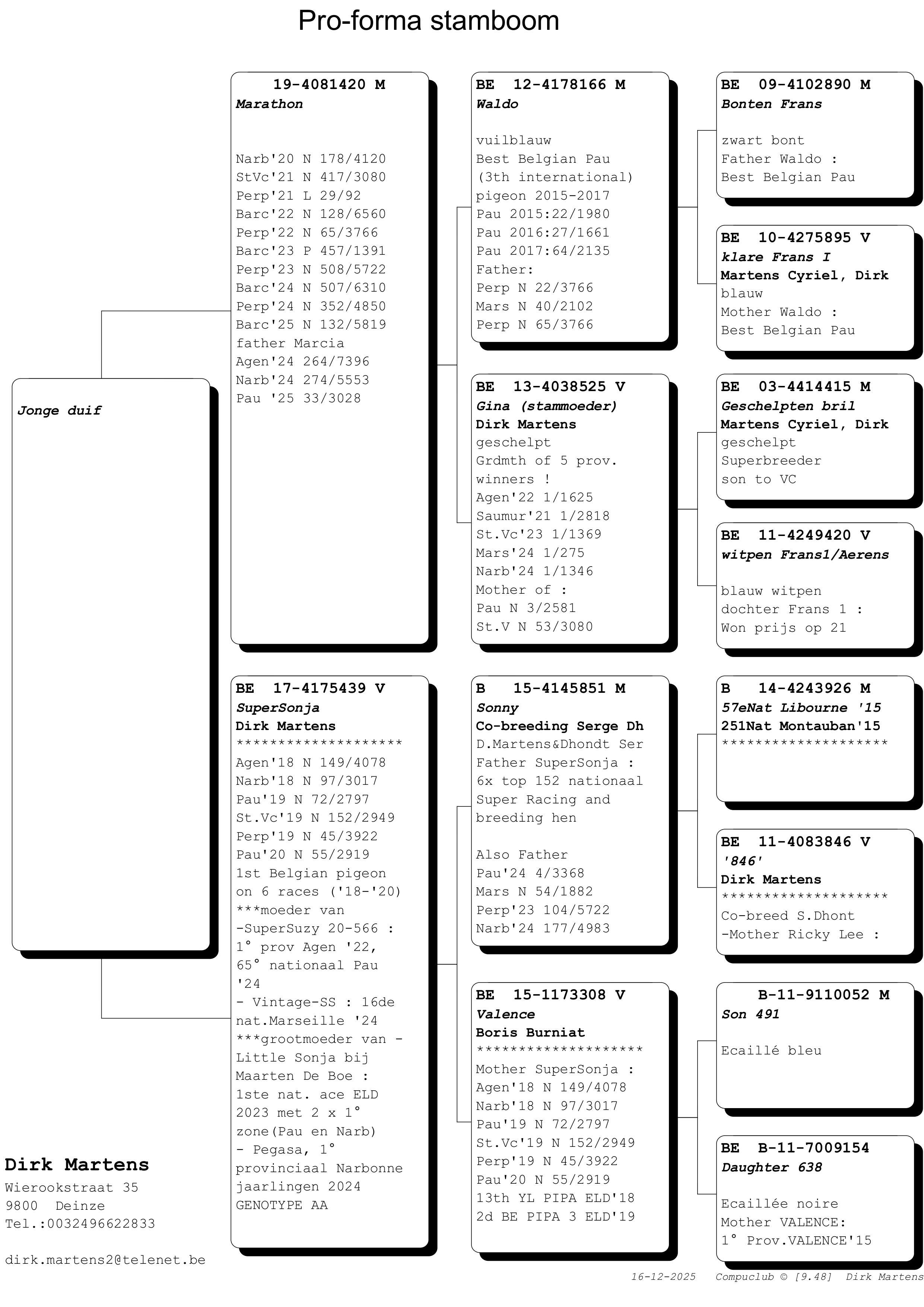 pedigree Martens Dirk - Jong op afspraak 