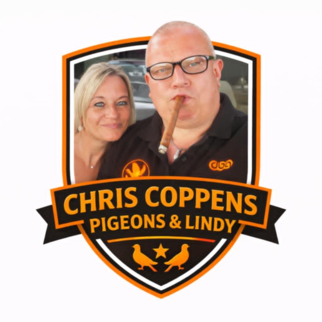 Coppens Chris Ninove Jonge duif 2026 op afspraak late kweek