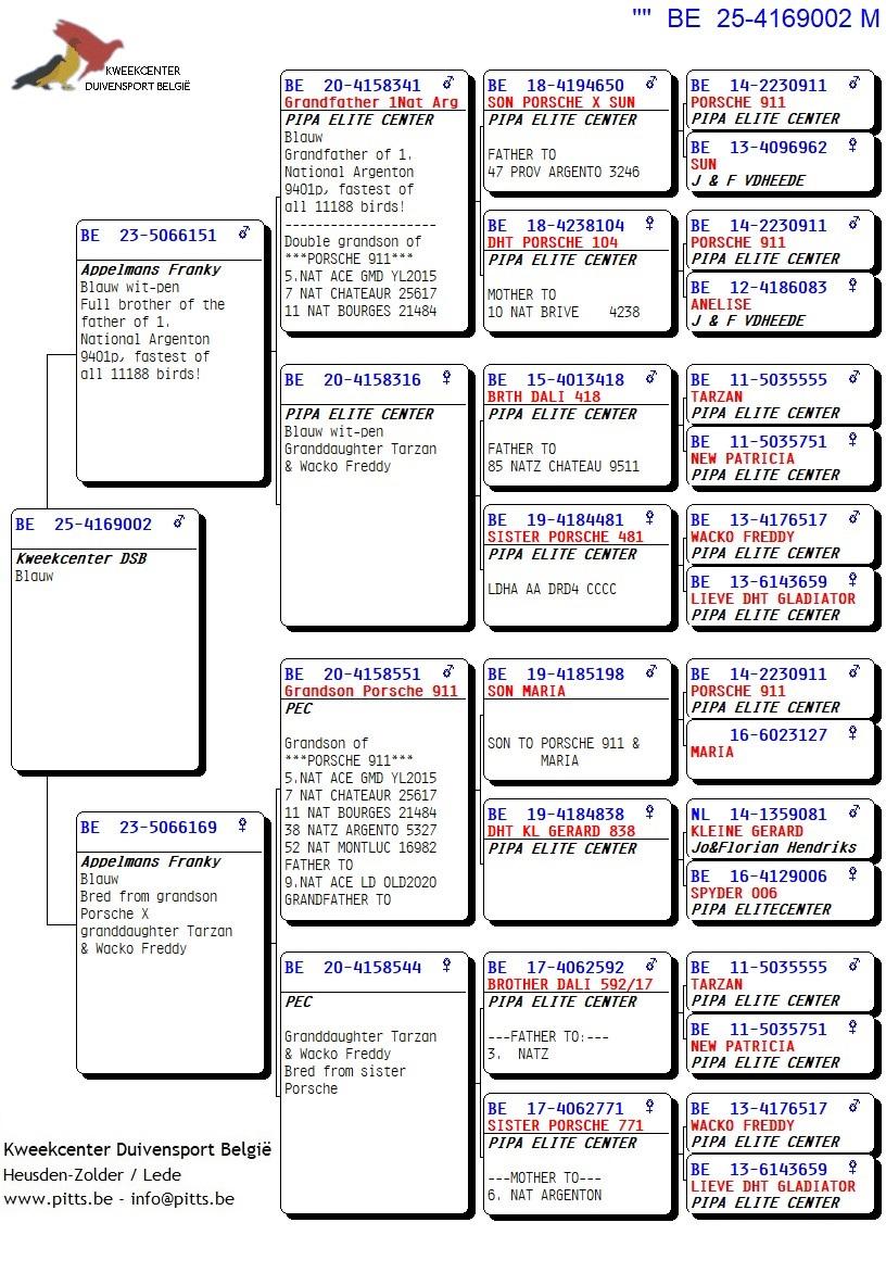 pedigree Volle broer vader 1° Nat Argenton x Lijn Porsche 911 
