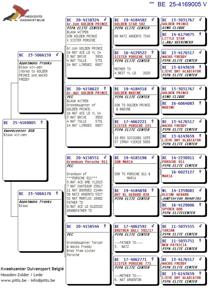 pedigree Inteelt Golden Prince en Wacko Freddy 