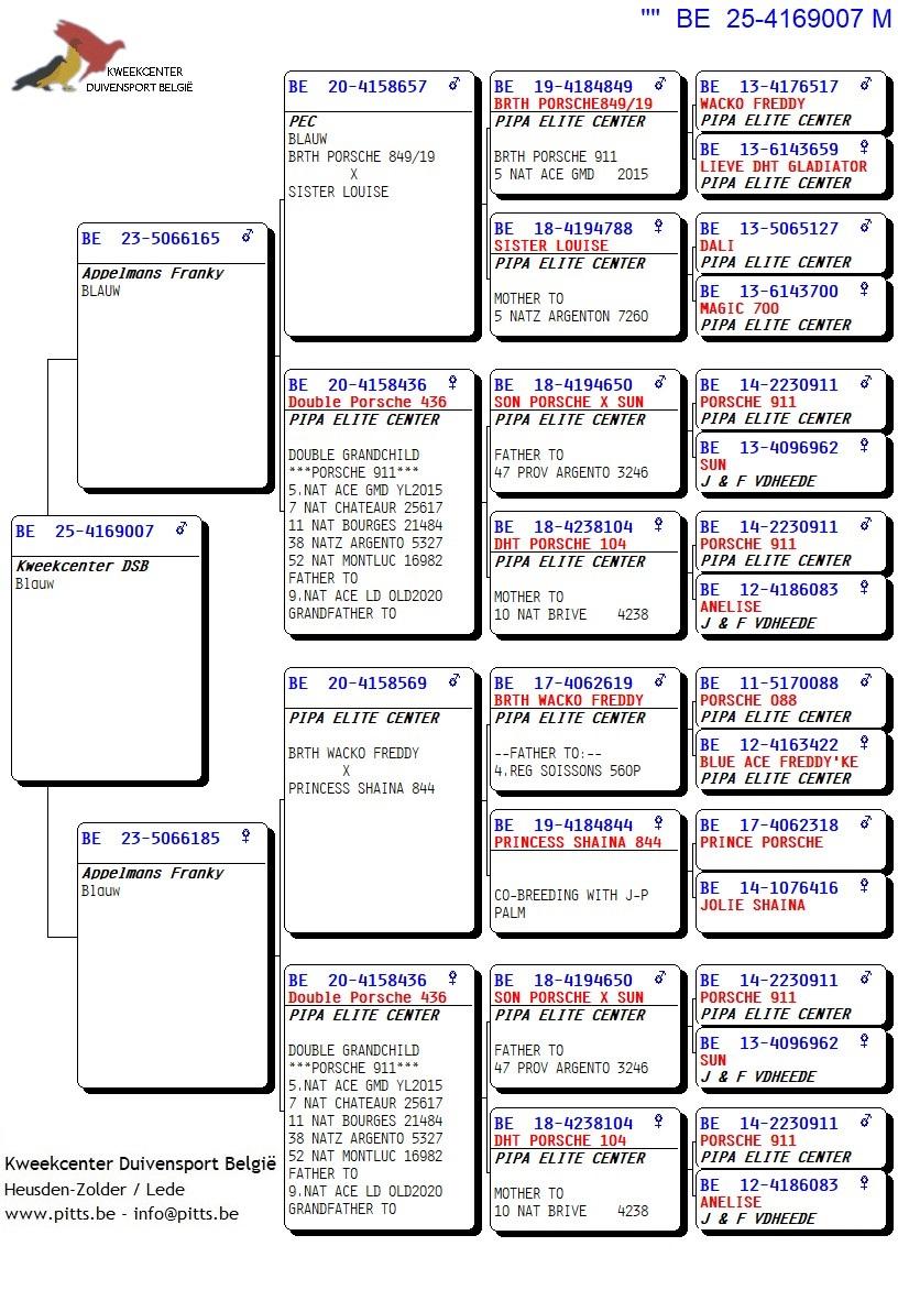 pedigree Inteelt Porsche 911 