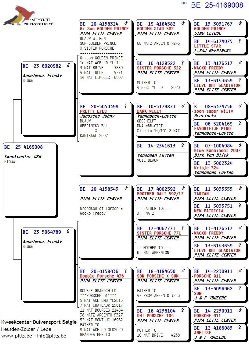 pedigree Lijn Geerinckx x Lijn Porsche 911 