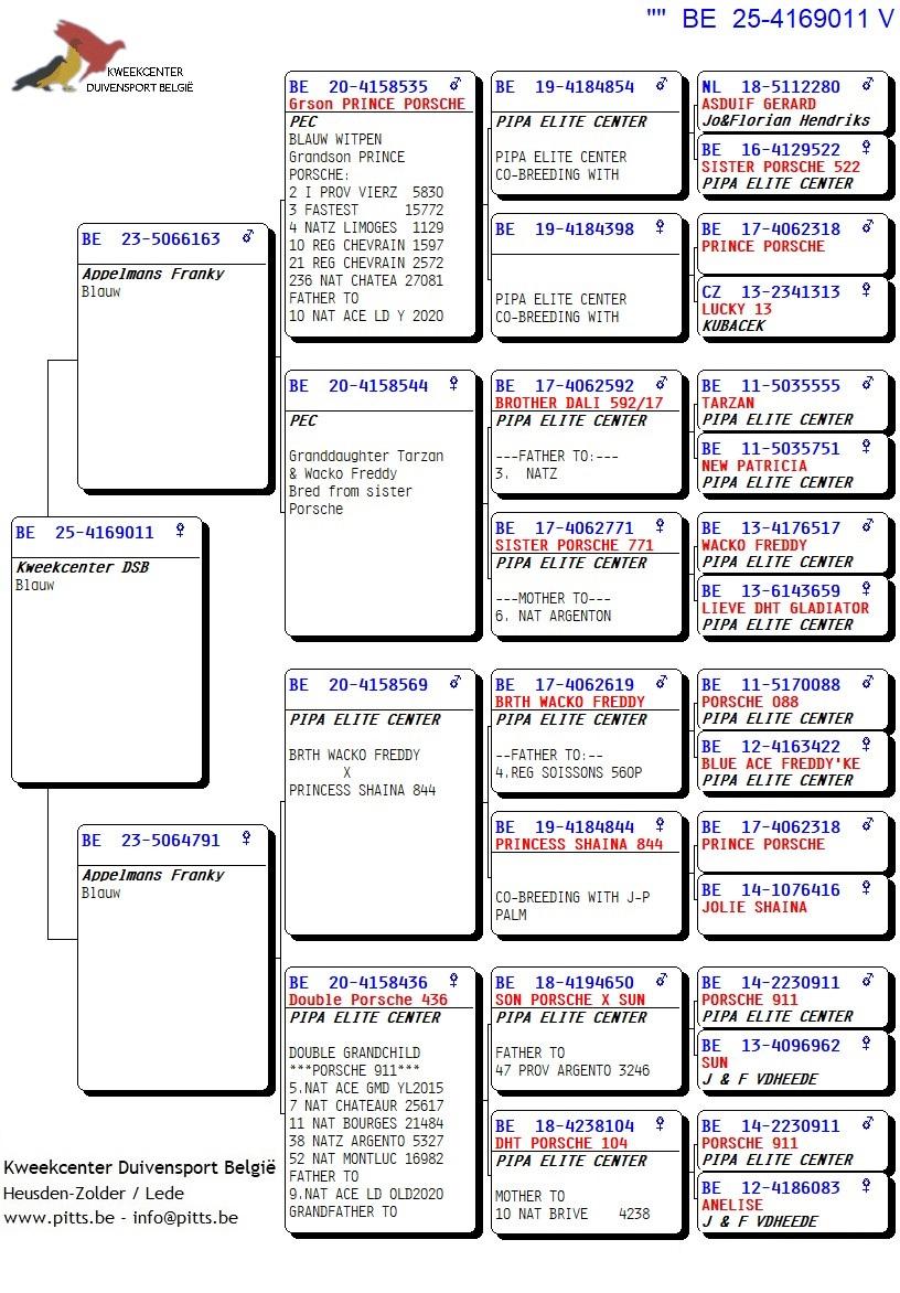 pedigree Zoon kleinzoon Prince Porsche x dochter inteelt Porsche 911 