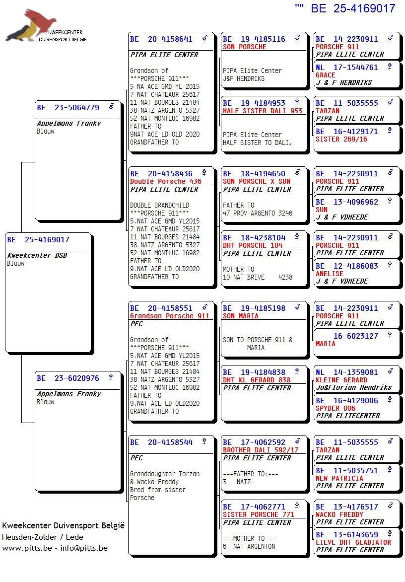 pedigree Inteelt Porsche 911 x Lijn Tarzan en Wacko Freddy