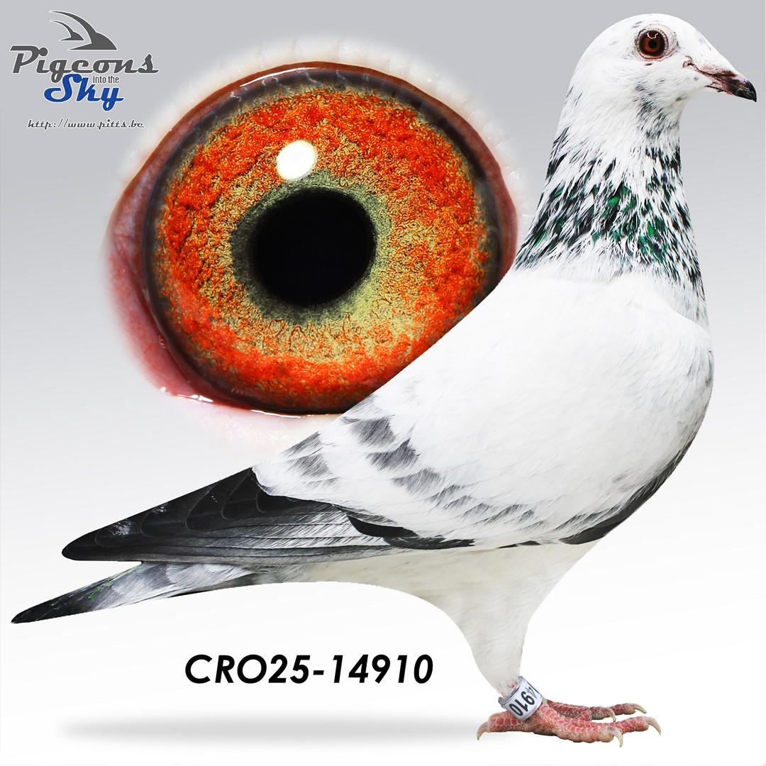 **HYPEREXCLUSIVE** White Angel 910 