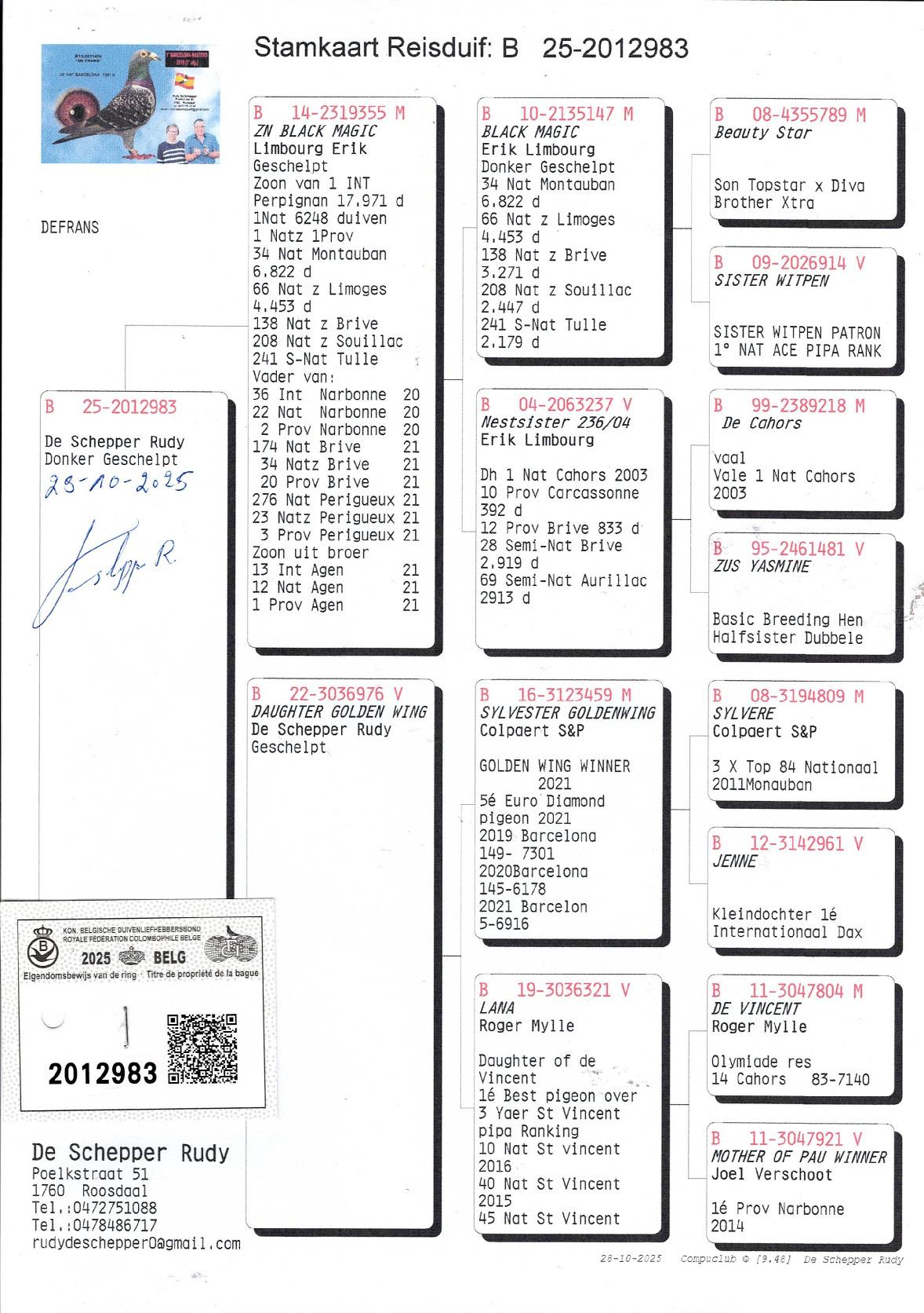 Pedigree van De Schepper Rudy Roosdaal Duif ter plaatse 