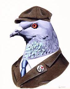 VANHOOF JOHNNY Menen - Duiver ter plaatse