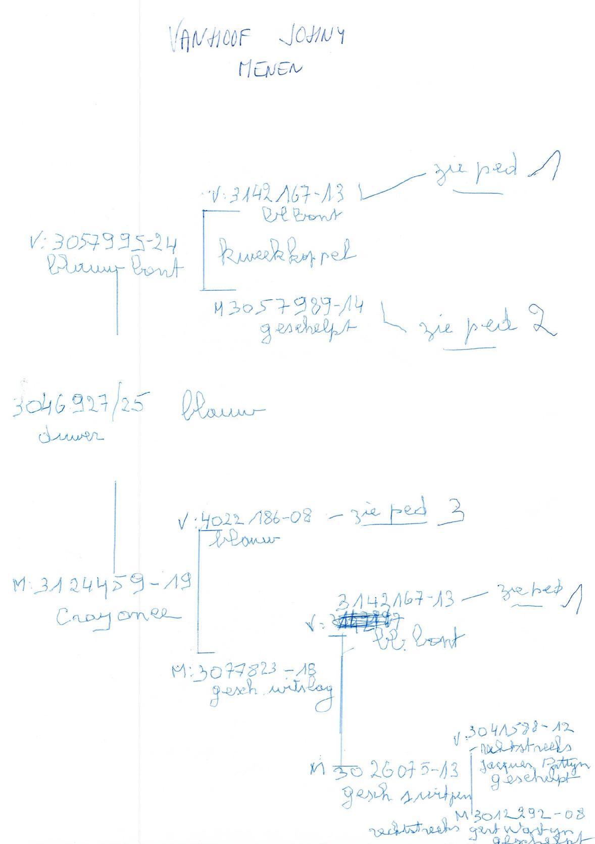 pedigree VANHOOF JOHNNY Menen - Duiver ter plaatse