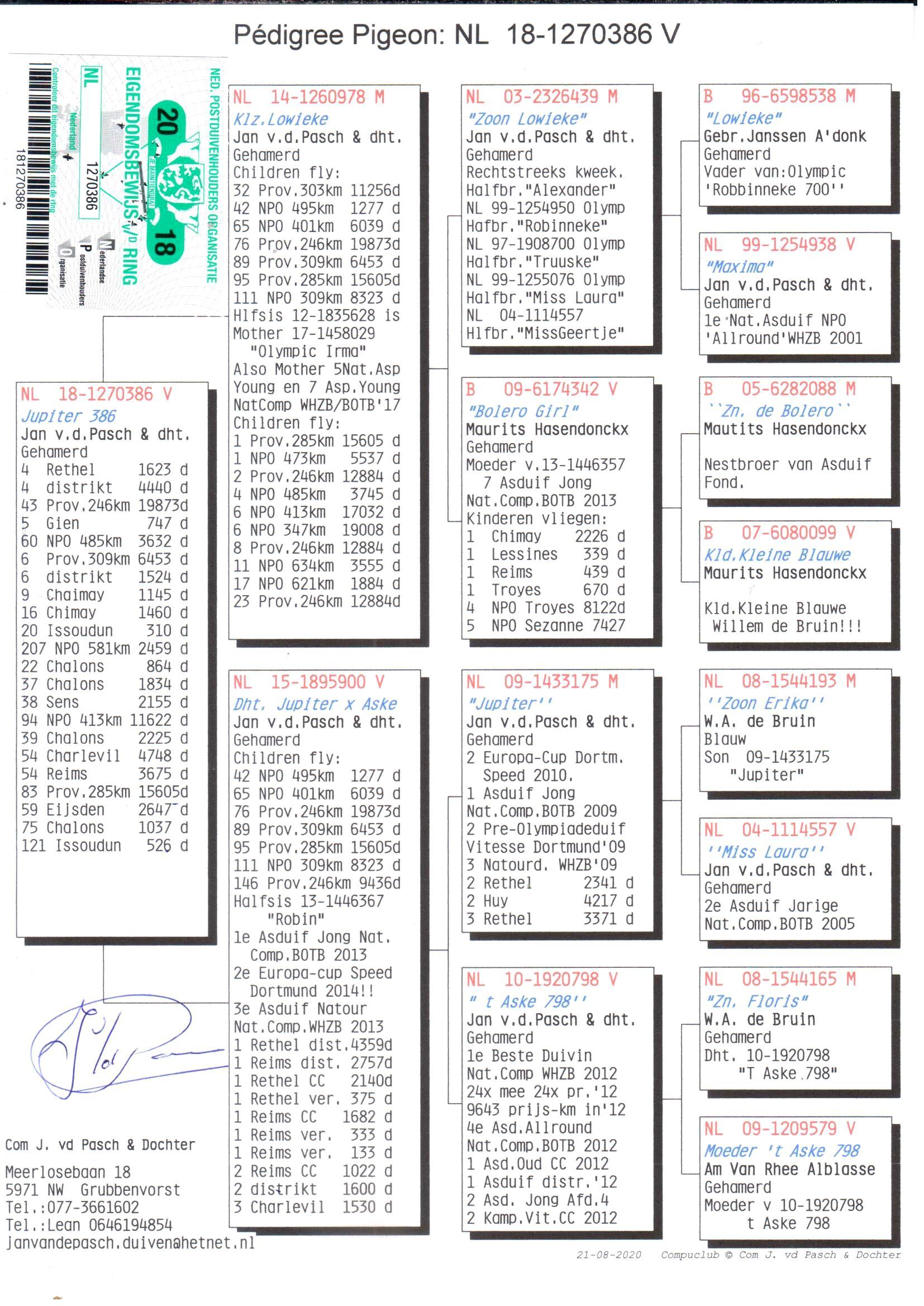 pedigree *TOPVLIEGER* Jupiter 386 