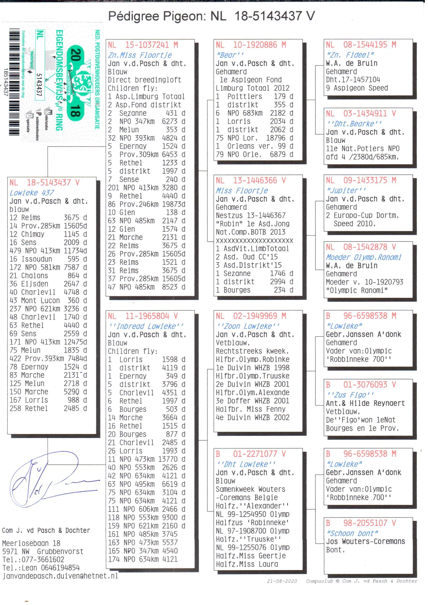 pedigree *TOPVLIEGER* Lowieke 437