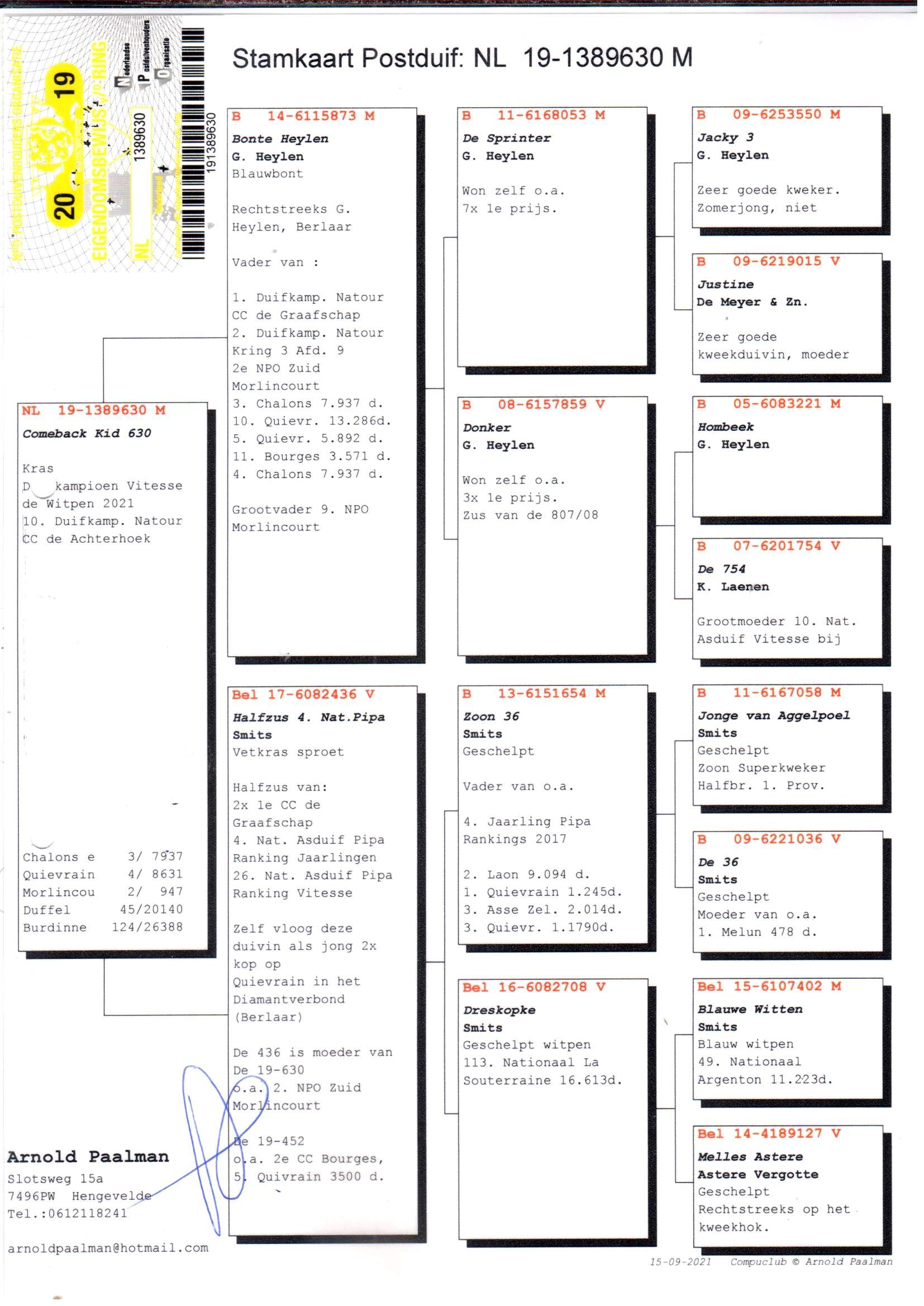 pedigree *TOPVLIEGER* Comeback Kid 630