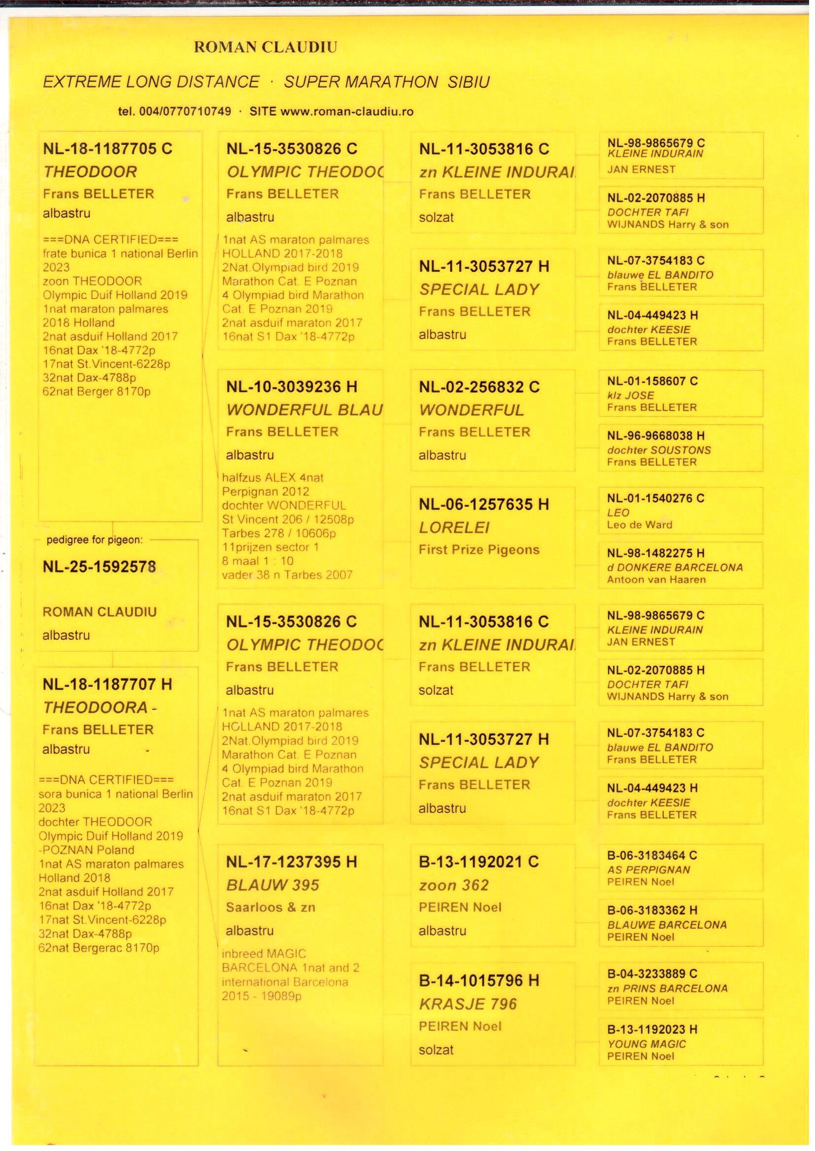 pedigree Theodoor x Theodoora + DNA 