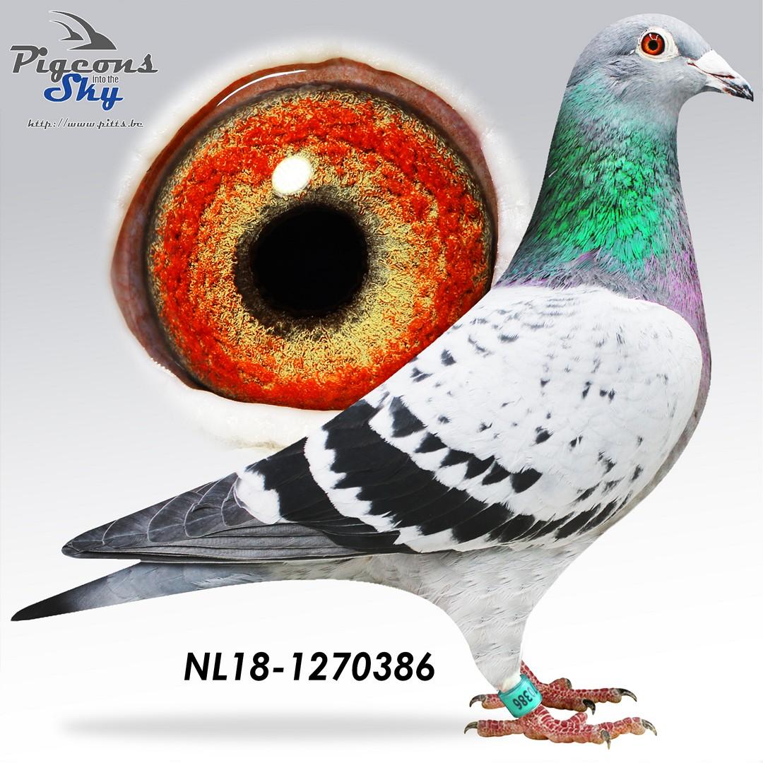 *TOPVLIEGER* Jupiter 386 