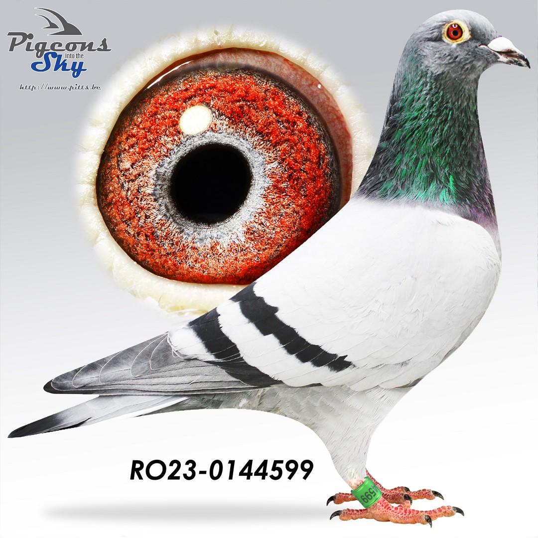 Zoon Mats x Dochter De Marathon + DNA 