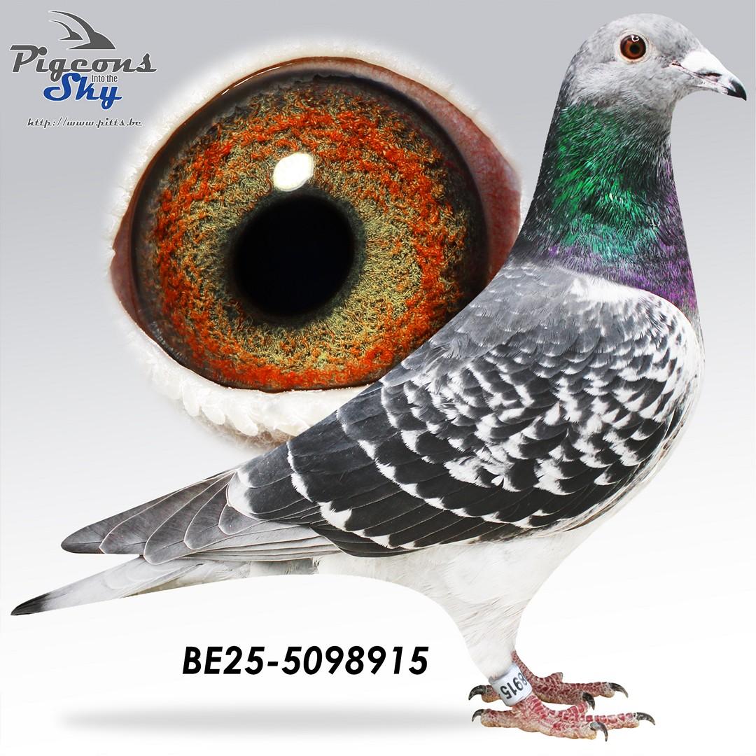 Zoon Rob x Dochter Avatar 