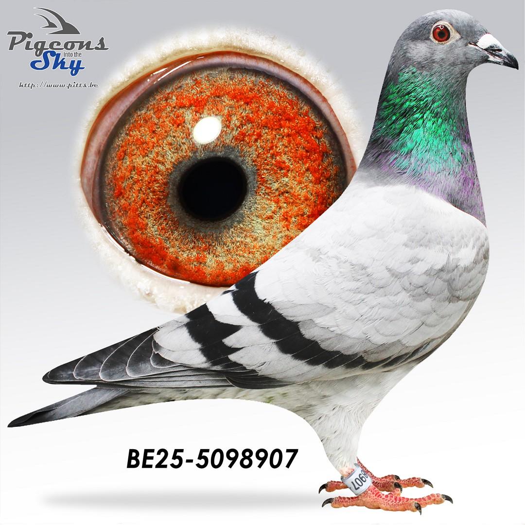 Otto x Zwarte Jeroen 