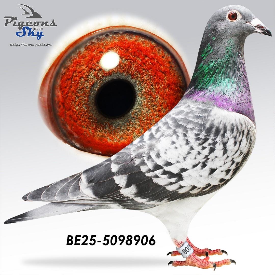 Otto x Zwarte Jeroen 