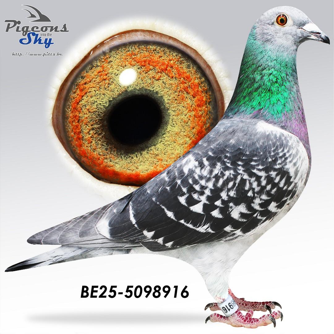 Zoon Rob x Dochter Avatar 